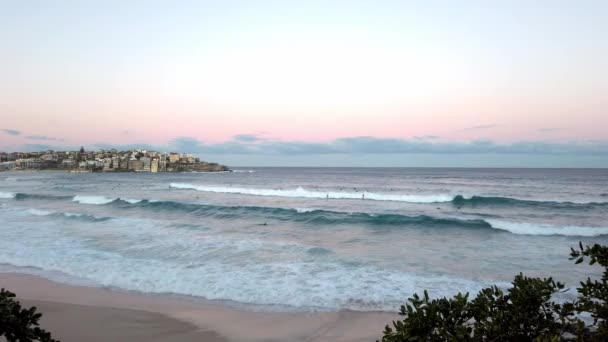 ニューサウスウェールズ州シドニーの夕日の間にボンダイビーチの巨大な波に観光客がサーファー ワイドショット — ストック動画
