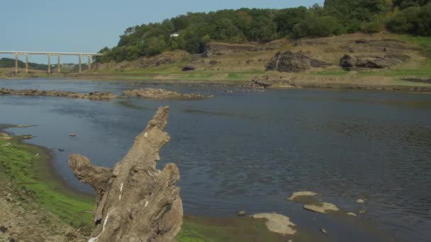 Trockener Baumstamm Neben Einem Fluss Mit Wenig Wasser — Stockvideo