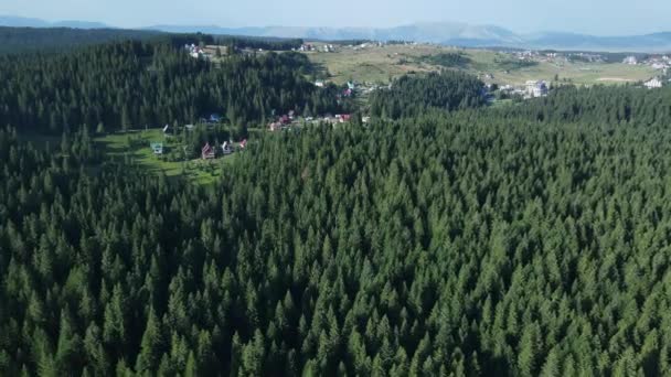 Letecký Pohled Národní Park Durmitor Mountain Černá Hora Zelený Jehličnatý — Stock video