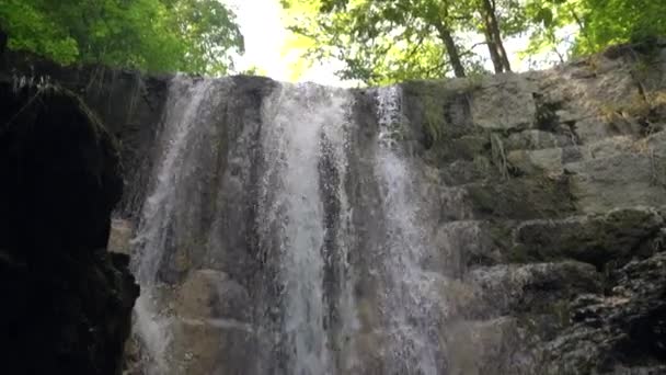 森林の崩壊の滝の下のショットを傾ける 明確な池に落ちる スローモーション — ストック動画