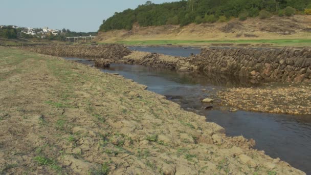Ξηρά Ακτή Λάσπης Που Συνορεύει Τον Ποταμό — Αρχείο Βίντεο
