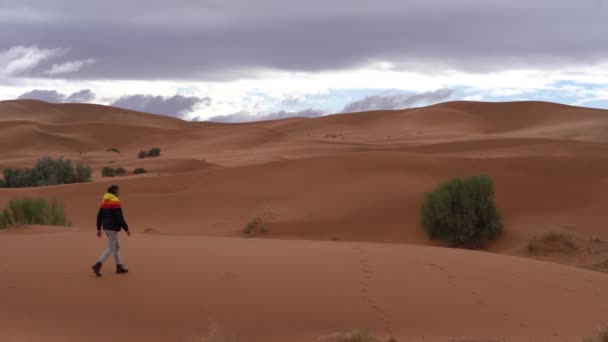 Homme Isolé Habillé Chaudement Marche Dans Désert Sable Doré Vide — Video