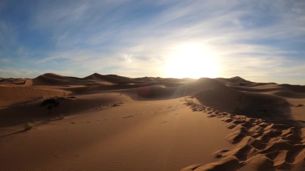 撒哈拉沙漠中的脚步声 金色的太阳从沙丘后面升起 背景是静止不动的 — 图库视频影像