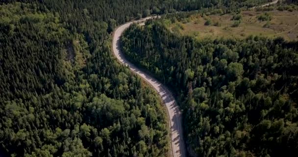 Volando Sobre Una Carretera Medio Del Bosque — Vídeos de Stock