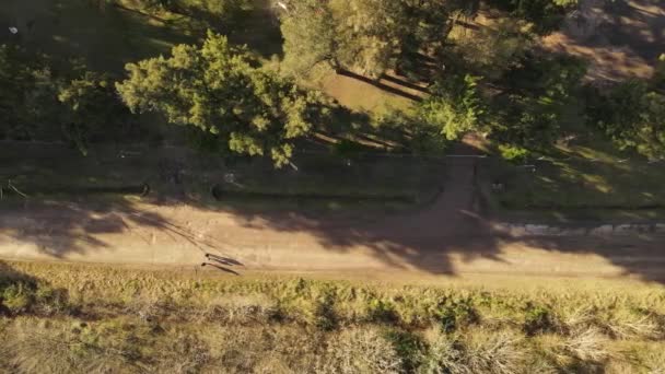 Luchtfoto Van Familie Wandelen Tijdens Zonsondergang Buurt Van Park Zandpad — Stockvideo