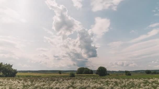 Timelapse Nieba Chmurami Słoneczny Dzień Trochę Ruchu Światła Lewej Prawej — Wideo stockowe