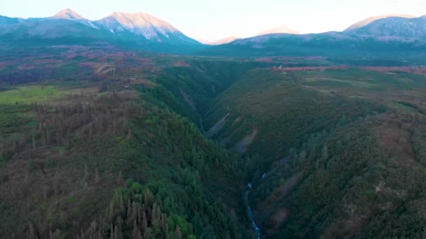 Drone Vídeo Del Huracán Gulch Cerca Del Parque Estatal Denali — Vídeos de Stock