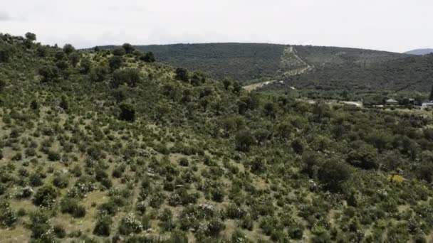 Tieffliegerdrohne Über Den Wildblumenbedeckten Ausläufern Der Sierra Guadarrama Der Nähe — Stockvideo