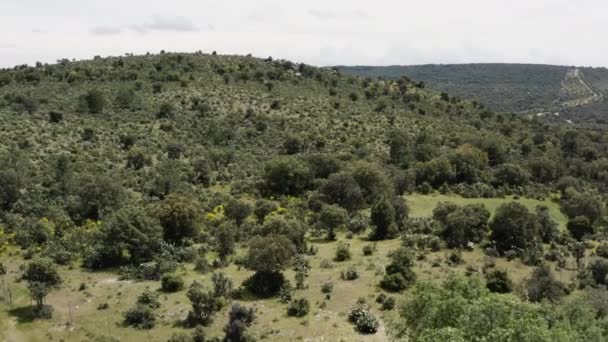 Nízko Položená Úpatí Kolem Sierra Guadarrama Poblíž Manzanares Real Španělsku — Stock video