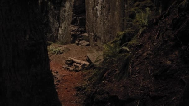 カナダ ブリティッシュコロンビア州バンクーバー島のコモックス湖で雄大な森の真ん中にある崖の顔のような豪華な洞窟のムーディーの風景 — ストック動画