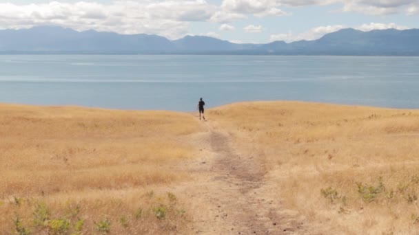 Man Running Golden Helliwell Meadow Ocean Rocky Mountains Background Hornby — Stock Video