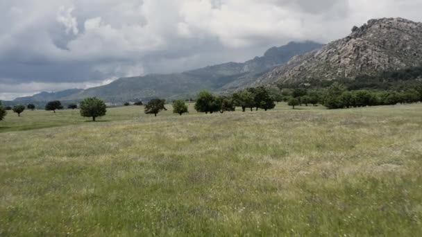 Epický Filmový Nízkoúrovňový Let Nad Pastvinami Divokých Květin Podhůří Sierra — Stock video