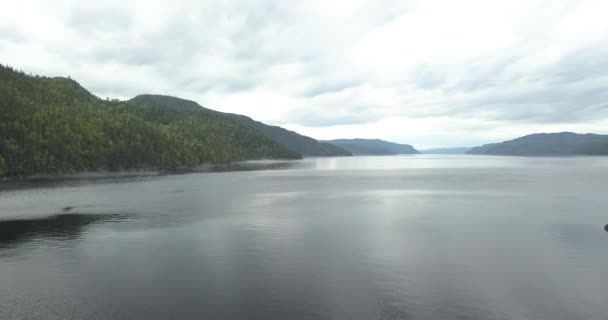 Flying Saguenay Fjord Canada — Stock Video