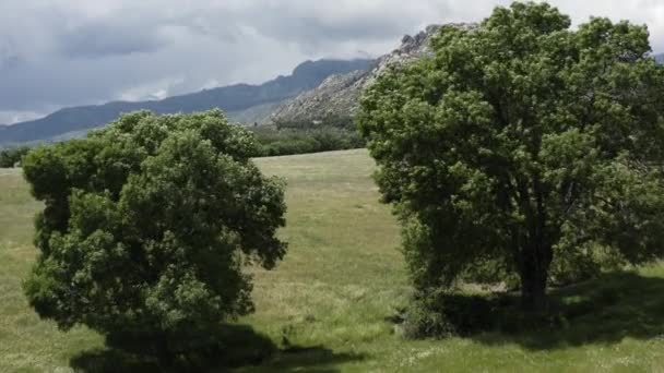 Dramático Drone Voa Através Das Árvores Para Revelar Serra Guadarrama — Vídeo de Stock