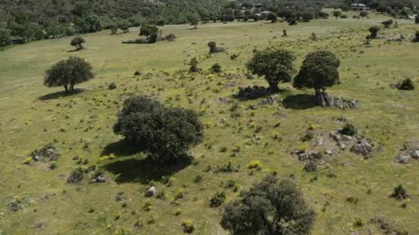 低地の牧草地の空の鳥の視線は スペイン国立公園のシエラ グアダラマ周辺の地形を明らかにする — ストック動画