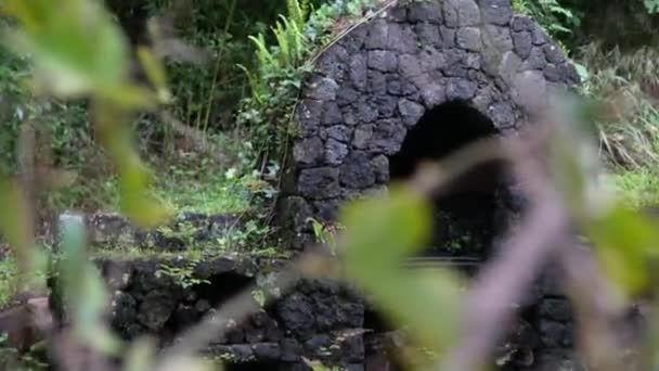 Barbacoa Piedra Rústica Jardín Cabaña — Vídeos de Stock