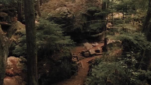 位于加拿大不列颠哥伦比亚省温哥华岛上的科莫克斯湖的小径上 美丽的森林小径与巨大的巨石环绕在一起 — 图库视频影像
