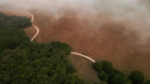 フィールドとイタリアのトスカーナ州の霧の朝に松の木の森を通過する未舗装の道路を巻きます — ストック動画