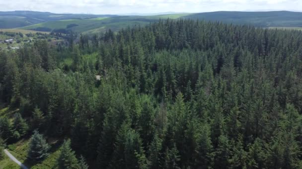 遠くに丘陵地帯を覆う高山の森の木々の上にそびえる空中風景 — ストック動画