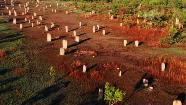 Aerial View Magnetic Termite Mounds Litchfield National Park Northern Territory — Stock Video