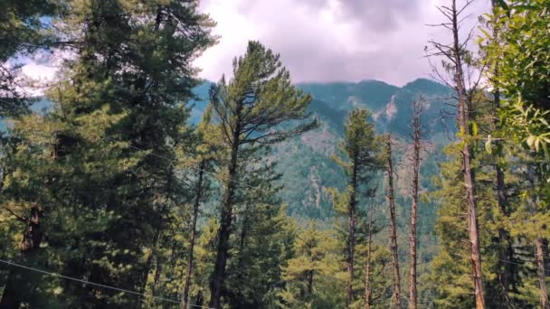 Bäume Mit Waldbergen Unter Bewölktem Himmel Hintergrund Statisch — Stockvideo
