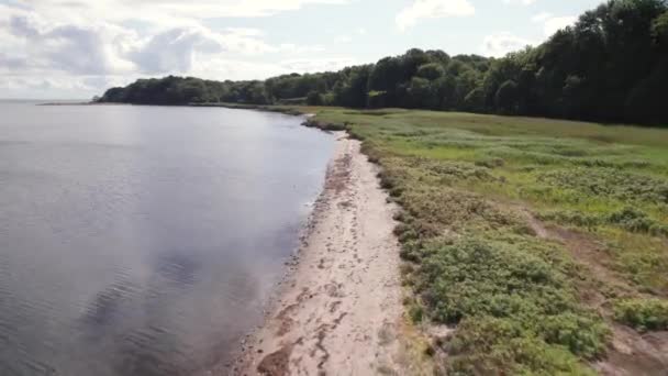 Drönare Flyger Lågt Över Kusten Längs Vassen Stranden Dolly Skott — Stockvideo