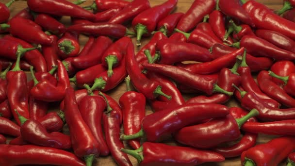 Ripe Red Chili Peppers New Mexico Culinary Delight Usa Delicious — Stock Video