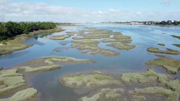 Panoramic View Swamps Wetlands Daytime Повітряний Дрон — стокове відео