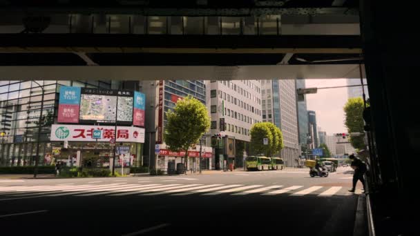 Tóquio Pedestres Andando Uma Passarela Com Passagem Trem Aéreo — Vídeo de Stock