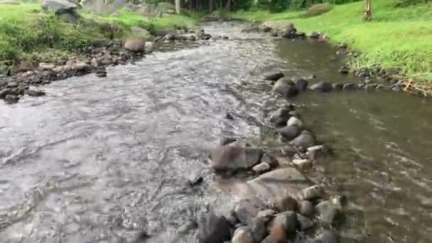 Strzał Strumienia Wody Skalistej Rzece — Wideo stockowe