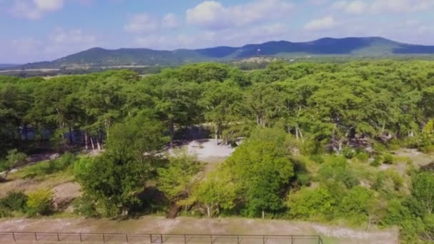 Sessiz Sakin Bir Çiftlik Teksas Tepesi Kırsalında Bir Yaz Öğleden — Stok video