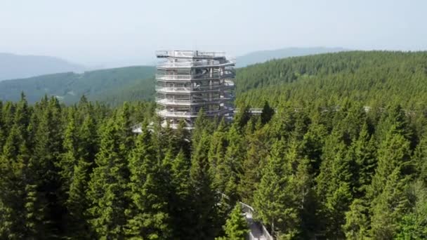 Berømte Observation Tower Pohorje Treetop Walkway Rogla Slovenien Antenne – Stock-video