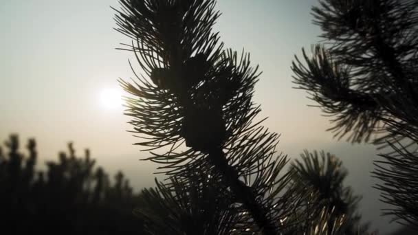 Slow Motion View Lago Garda Itália Europa Truck Shot — Vídeo de Stock