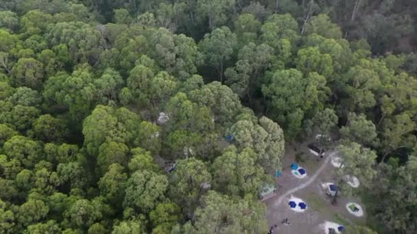 Sinkende Antenne Zelte Auf Polstern Schönen Waldcampingplatz Aus — Stockvideo