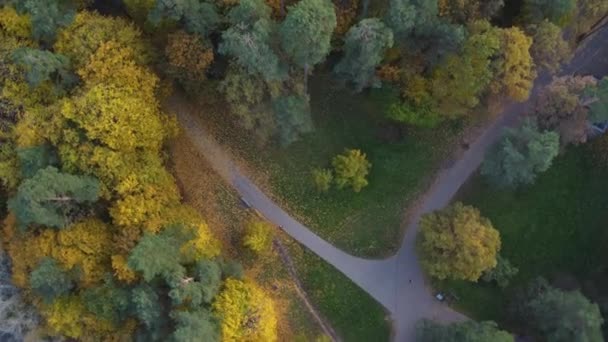 立陶宛维尔纽斯的一个公园里一片森林清场的Aerial Top Orbiting Sshot Forest Clearing Park Vilnius Lithuania Vibrant — 图库视频影像