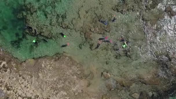 Turistas Barbatanas Coloridas Snorkel Piscinas Rochosas Rasas Aéreas — Vídeo de Stock