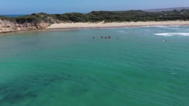 一群孩子轮流在受保护的海湾学习冲浪 — 图库视频影像