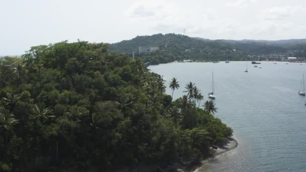 Péninsule Orientale Samana République Dominicaine Prise Vue Aérienne — Video