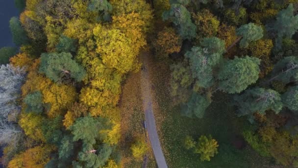 Aerial Top Ascendente Shot Path Rodeado Vibrantes Colores Otoñales Vilna — Vídeo de stock