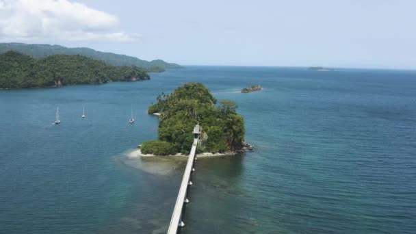 Caribe Paraíso Samana República Dominicana Tiro Aéreo — Vídeos de Stock