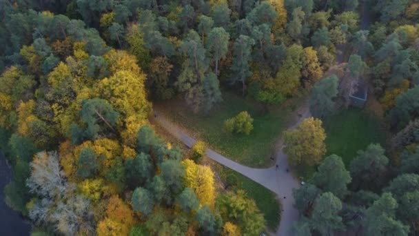 Aeriell Fly Vingis Park Vilnius Litauen Med Vibrerande Höstfärger — Stockvideo