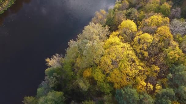 Aerial Top Fly Řeky Obklopené Pulzujícím Podzimním Listím — Stock video