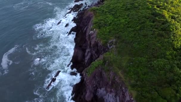 Bella Spiaggia Scogliera Nell Oceano Pacifico — Video Stock