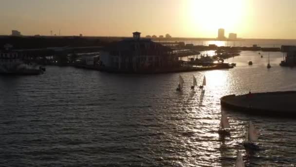 Veleiros Que Viajam Direção Marina Durante Pôr Sol Nova Orleães — Vídeo de Stock