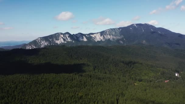 Vista Aérea Del Verde Bosque Con Macizo Postavarul Fondo Cerca — Vídeos de Stock