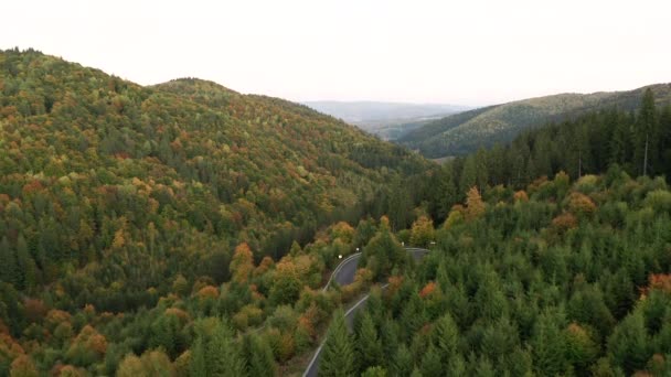 Sonbaharın Başlarında Yeşil Turuncu Sarı Kızıl Orman Tepeleri — Stok video