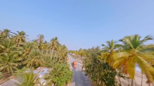 Palm Bomen Aan Zandkust Van Nagua Beach Dominicaanse Republiek Luchtfoto — Stockvideo