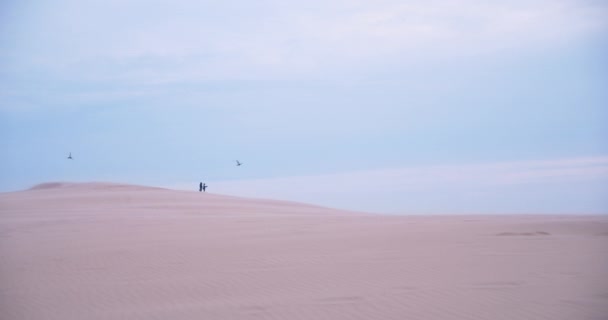 Két Turista Élvezi Dune Pilat Sápadt Reggeli Fényben Madarak Repkednek — Stock videók