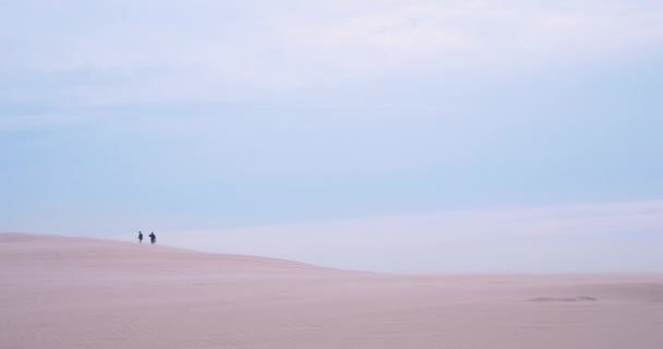 Scène Plage Relaxante Couper Souffle Avec Des Dunes Sable Des — Video