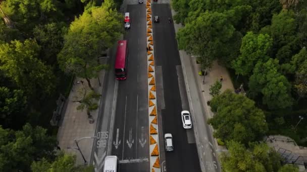 墨西哥城的Paseo Reforma大街上的汽车 在墨西哥的主要街道上挂满了死亡纪念日的橙花 — 图库视频影像